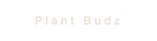 Plant Budz® - Home